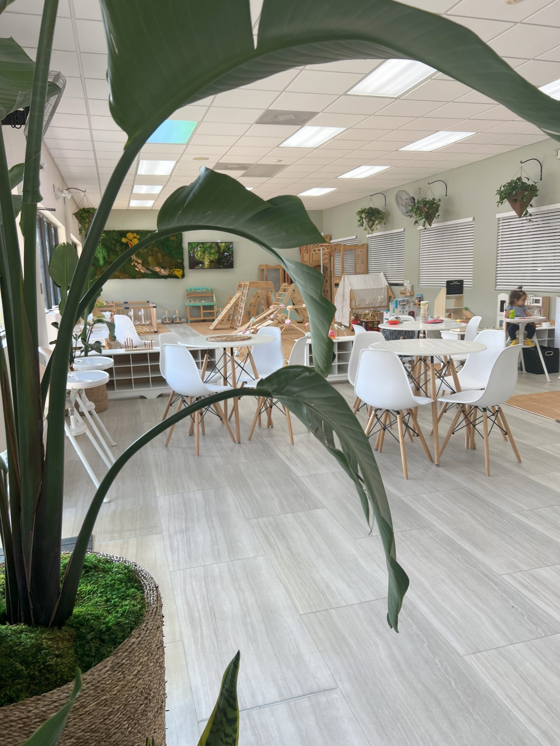 Image of facility looking through plants